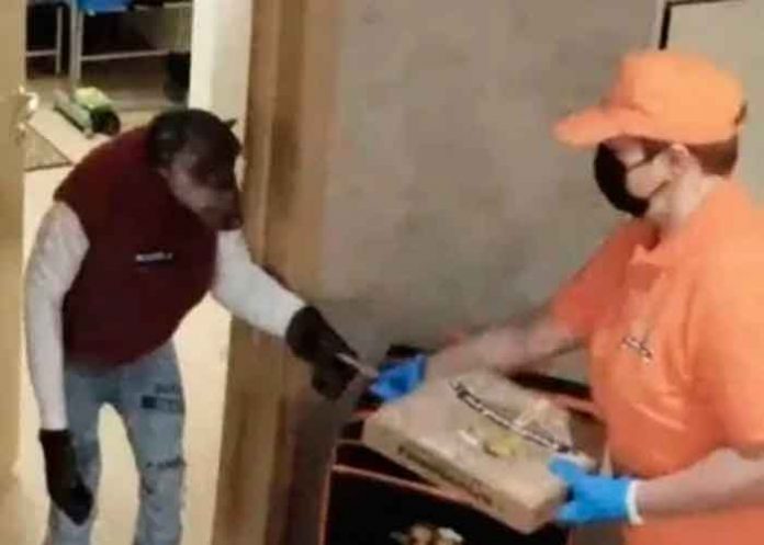 Viral e Insólito: Chimpancé pide pizza a domicilio y sorprende a repartidora