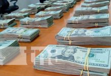 Incautan dólares al narcotráfico y crimen organizado en Somotillo-Chinandega Incautación de dólares en un camión de Chinandega