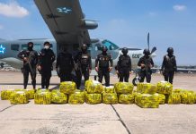 Ocupan 900 kilos de cocaína en avioneta accidentada en Guatemala