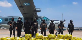 Ocupan 900 kilos de cocaína en avioneta accidentada en Guatemala