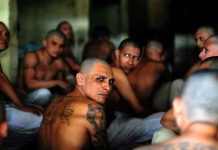 Capturan a uno de los 15 líderes de la Mara Salvatrucha de El Salvador Capturan a de uno de los 15 líderes de la Mara Salvatrucha de El Salvador