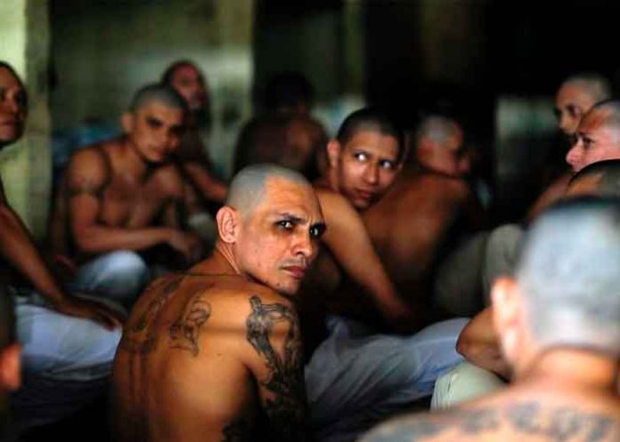 Capturan a de uno de los 15 líderes de la Mara Salvatrucha de El Salvador