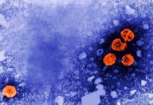 España registra primeros casos de hepatitis infantil de origen desconocido España registra primeros casos de hepatitis infantil de origen desconocido