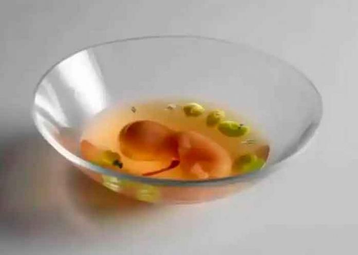 ¿Exótico o diabólico? Crean platillo 