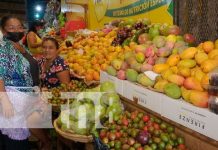 Frutas de verano que encuentra en los mercados de Nicaragua
