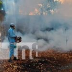 Brigadistas de salud visitan casas en San Isidro de la Cruz Verde, Managua Fumigación en comarca de Managua