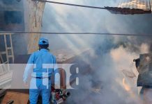 Fumigación y aplicación de BTI en Managua