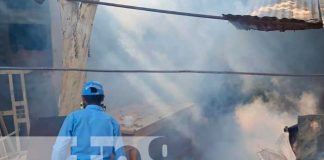 Fumigación y aplicación de BTI en Managua