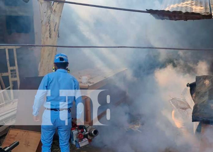 Fumigación y aplicación de BTI en Managua
