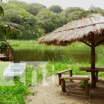 Diferentes lugares para visitar y descubrir en Madriz