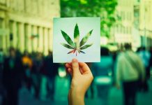 Cinco claves sobre la legalización de la marihuana en EE.UU