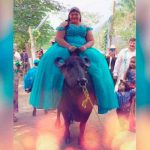 ¡Si no es así, no quiero nada! Quinceañera llega a su fiesta en un búfalo ¡Si no es así no quiero nada! Quinceañera llega a su fiesta en un búfalo