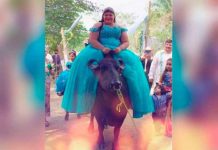 ¡Si no es así, no quiero nada! Quinceañera llega a su fiesta en un búfalo ¡Si no es así no quiero nada! Quinceañera llega a su fiesta en un búfalo