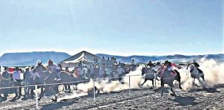 Ataque armado en carreras de caballos dejó 11 muertos en Chihuahua