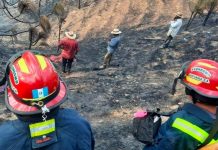 Mujeres murieron al intentar sofocar un incendio forestal en Guatemala Mujeres murieron al intentar sofocar un incendio forestal en Guatemala
