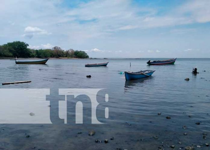 Panorama desde la Isla de Ometepe