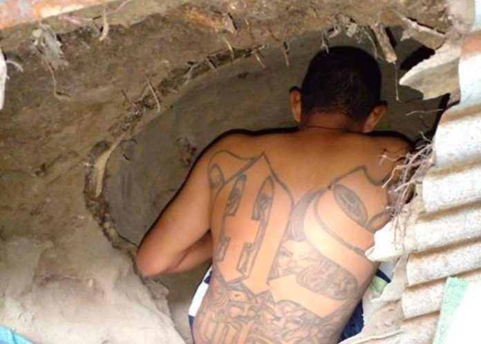 Pandillero construye cueva para esconderse de la policía en El Salvador
