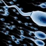 Desarrollan un chip que seleccionara a los espermatozoides “sanos” Desarrollan un chip que seleccionara a los espermatozoides “sanos”