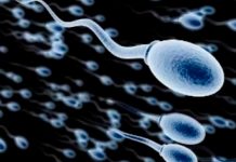 Desarrollan un chip que seleccionara a los espermatozoides “sanos”