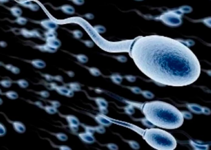 Desarrollan un chip que seleccionara a los espermatozoides “sanos”