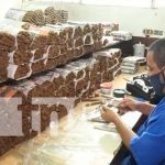 Fábrica de puros en Estelí brinda oportunidad de trabajo a reos Fábrica de puros en Estelí con reos en la parte operativa