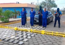 Incautación de cocaína en Salinas Grandes, León