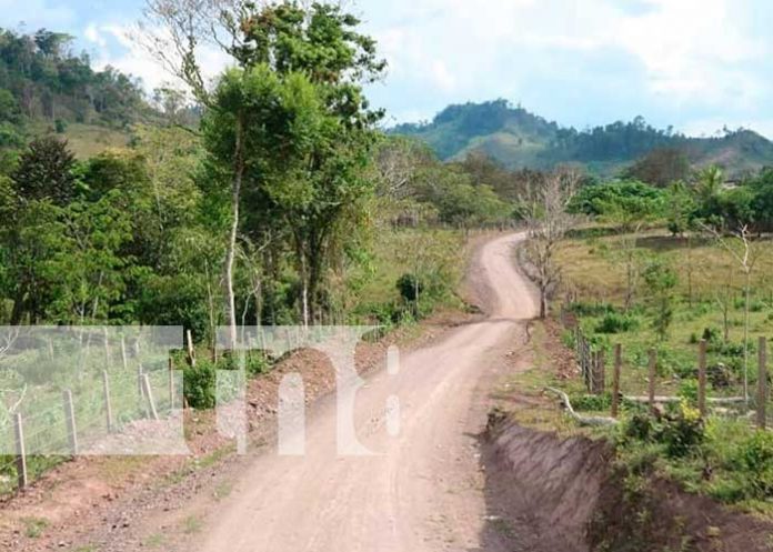 Gobierno continúa llevando más caminos a zonas productivas de Siuna