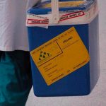 Policía de Marruecos desmantela una red de tráfico de riñones Policía de Marruecos desmantela una red de tráfico de riñones