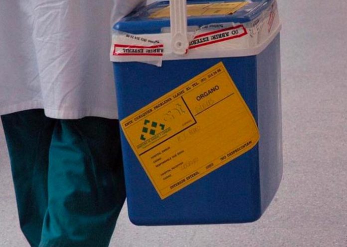 trafico-rinones- Policía de Marruecos desmantela una red de tráfico de riñones