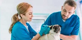 30 de abril: Día Mundial del Veterinario