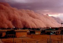 Miles hospitalizados y un muerto por tormenta de arena en Irak