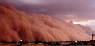 Miles hospitalizados y un muerto por tormenta de arena en Irak