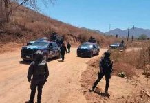 Golpe al Cártel de Sinaloa en el territorio de los hijos del Chapo Guzmán Foto: Golpe al Cártel de Sinaloa en el territorio de los hijos del Chapo Guzmán /TN8