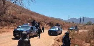 Foto: Golpe al Cártel de Sinaloa en el territorio de los hijos del Chapo Guzmán /TN8