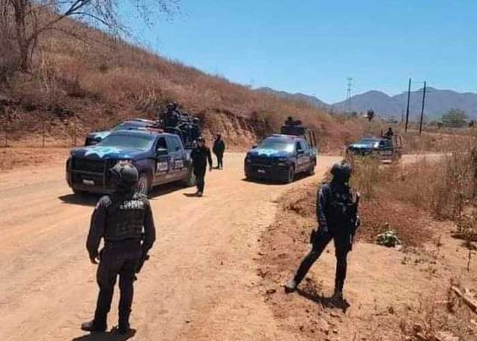 Foto: Golpe al Cártel de Sinaloa en el territorio de los hijos del Chapo Guzmán /TN8