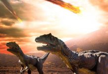 Científicos creen encontrar fragmento del asteroide que extinguió a los dinosaurios Científicos creen encontrar fragmento del asteroide que extinguió a los dinosaurios