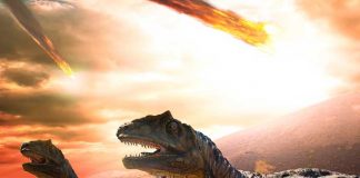 Científicos creen encontrar fragmento del asteroide que extinguió a los dinosaurios