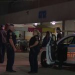 Dos muertos y tres heridos tras tiroteo en un mercado de pulgas en Houston