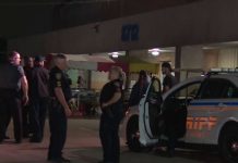 Dos muertos y tres heridos tras tiroteo en un mercado de pulgas en Houston Dos muertos y tres heridos tras tiroteo en un mercado de pulgas en Houston
