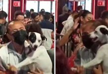 No tenía pareja de baile y se avienta la cumbia con su perrito No tenía pareja de baile y se avienta la cumbia con su perrito