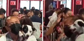 No tenía pareja de baile y se avienta la cumbia con su perrito