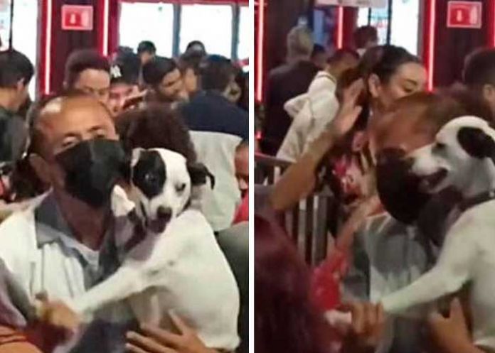 No tenía pareja de baile y se avienta la cumbia con su perrito
