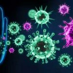 ¡Por tu salud! 4 hábitos que pueden fortalecer tu sistema inmunológico Cinco metodos para estar sanos