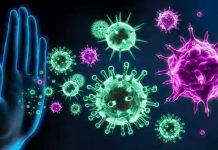 ¡Por tu salud! 4 hábitos que pueden fortalecer tu sistema inmunológico Cinco metodos para estar sanos