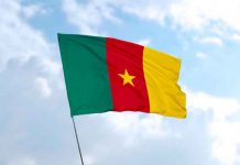 Mensaje a Presidente de Camerún por su 50 aniversario del Día de la Unificación del Estado Mensaje a Presidente de Camerún por su 50 aniversario del Día de la Unificación del Estado