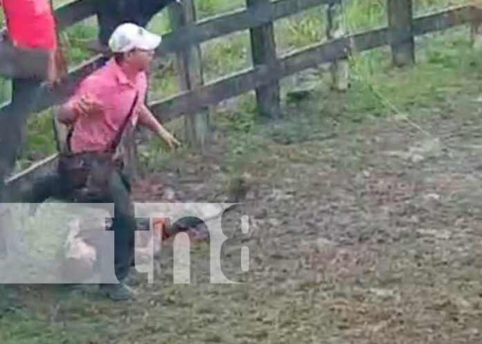 Famoso montador de toro muere en Santo Tomás, Chontales