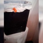 Cámaras en baños: Director de colegio denunciado por alumnas, México