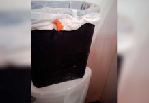 Cámaras en baños: Director de colegio denunciado por alumnas, México Cámaras en baños: Director de colegio denunciado por alumnas, México