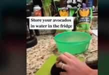 ¡Alerta! Truco de TikTok con aguacate puede causar salmonella ¡Alerta! Truco de TikTok con aguacate puede causar salmonella