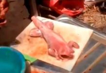 Increíble: Pedazo de carne comienza a moverse antes de ser cocinado Trozo de carne comienza a moverse antes de ser cocinado